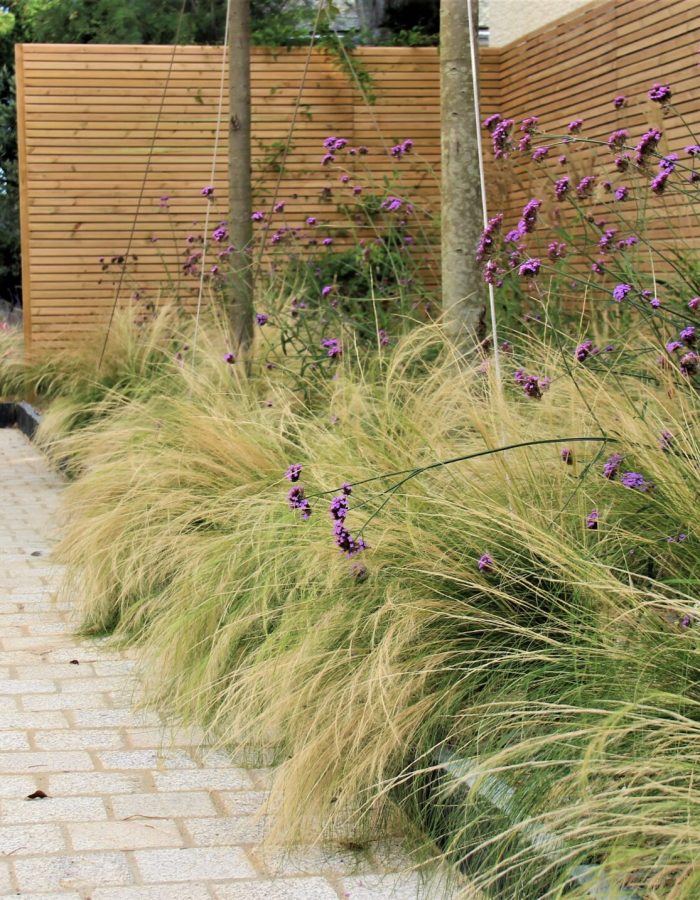 DE SAINT PIRRIERE (4)